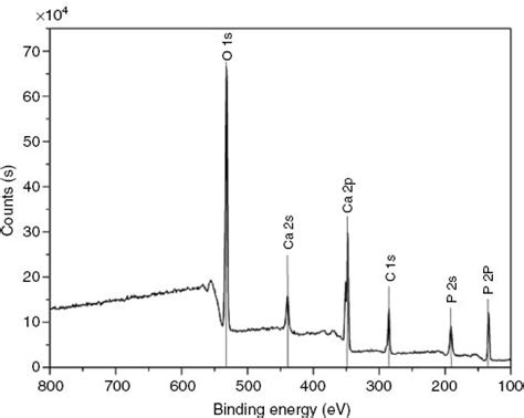 Synthesis And Characterization Of Pure And Nanosized Hydroxyapatite