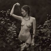 Summer Sketch Artistic Nude Photo By Photographer Dml At Model Society