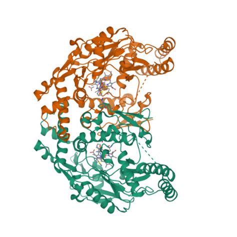 RCSB PDB 4KCJ Structure Of Neuronal Nitric Oxide Synthase Heme