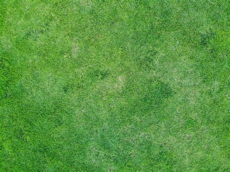 Green Grass Texture Field Stock Photo Pakhnyushchyy 179248412