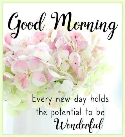 Pin By Debbie Pins On Greet The Day Good Morning Greetings Good