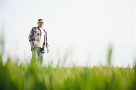 Retrato De Agr Nomo Agricultor Senior En Campo De Trigo Exitosa