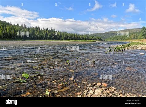 Summer In The Northern Urals National Park Yugyd Va Virgin Komi