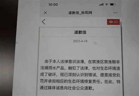 双提升”进行时】守护绿水青山 枞阳法院在行动澎湃号·政务澎湃新闻 The Paper