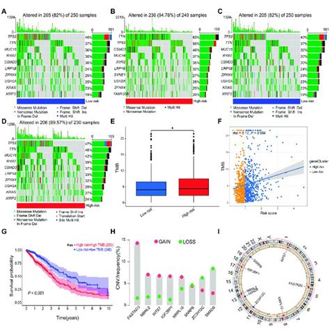 Gene Mutation And Copy Number Variation A B Gene Mutation