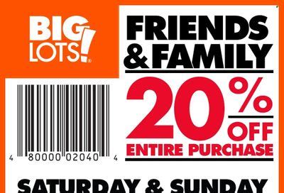 Big Lots Weekly Ads Deals Flyers January