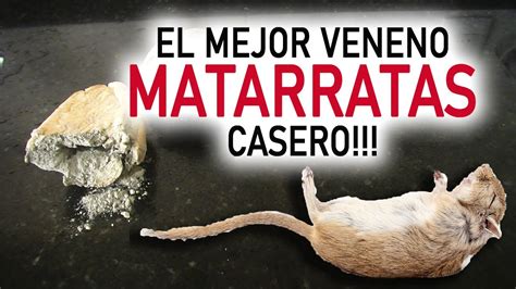 Trampa Para Ratas Y Ratones El Mejor Matarratas Casero Funciona