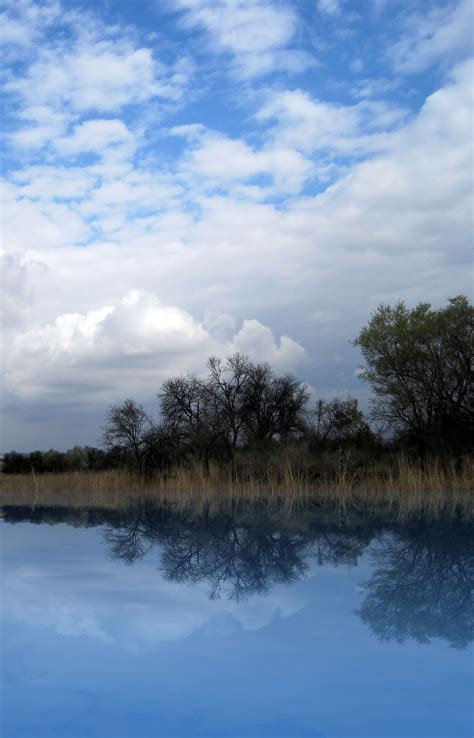 Veld And Tree Reflection Free Stock Photo Public Domain Pictures