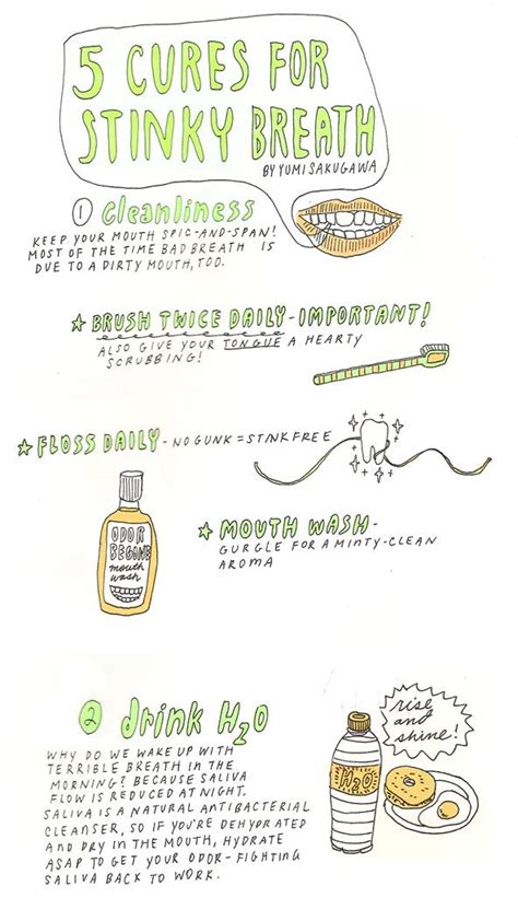 5 Simple Ways to Cure Stinky Breath « The Secret Yumiverse :: WonderHowTo