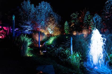 EN IMAGES À Angers la balade nocturne de Terra Botanica émerveille