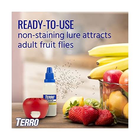 Terro T2502 Ready To Use Indoor Fruit Fly Trap With Built In Window 2 Gourmetian