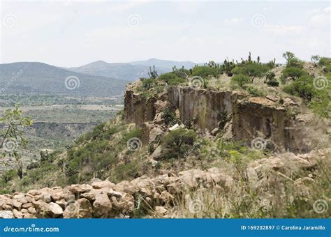 Valle Del Mezquital Vista Del Soleado Paisaje Mexicano Semidesierto