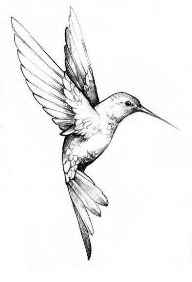 130 Ideas De ColibrÍes Colibri Dibujo Colibrís Colibri