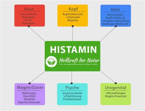 Histaminunvertr Glichkeit Histaminintoleranz Symptome Ursachen