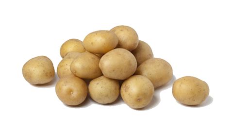 Potato Free Vector Download Png Transparent Background Free Download