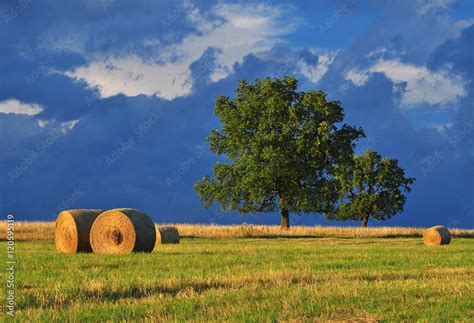 Late summer landscape stormy nature Stock Photo | Adobe Stock