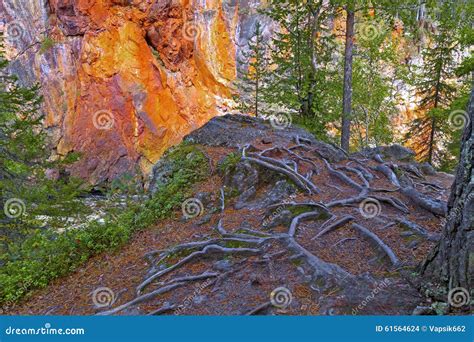 End Of Summer In Oulanka Canyon Stock Photo Image Of Travelling