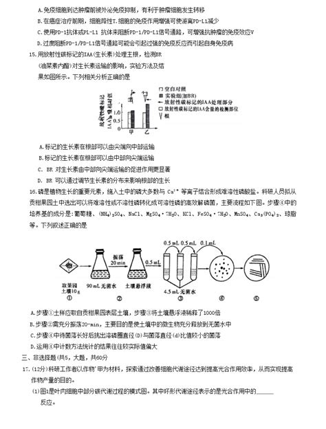 湖南省长沙市雅礼中学2023届高三生物二模试题（word版附解析） 教习网试卷下载