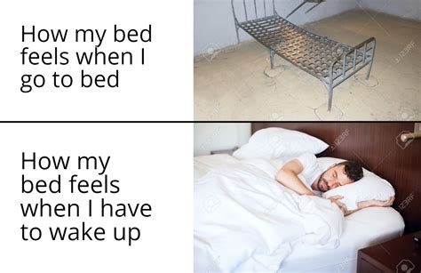 In the morning my bed just feels right in every position : r/memes