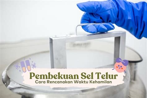 Bagaimana Proses Pengambilan Sel Telur Untuk Bayi Tabung