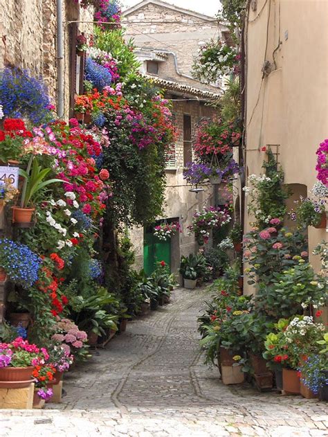 Of The Worlds Most Magical Streets Shaded By Flowers And Trees