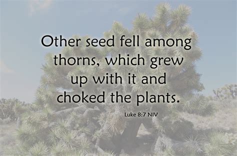 How To Be Fruitful Pull The Weeds Luke 8 14 A Clay Jar