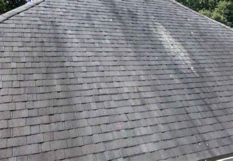 How To Clean Roof Shingles A Quick Guide Roof Lux