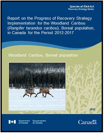 Report On The Progress Of Recovery Strategy Implementation For The