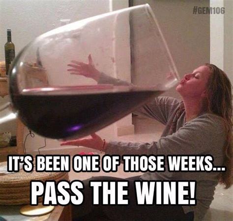 27 Wine Memes To Celebrate National Wine Day Artofit