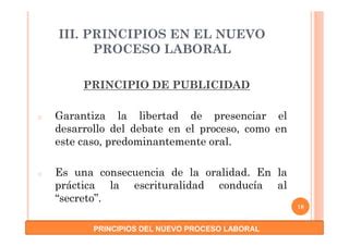 Principios Del Nuevo Proceso Laboral Pdf Descarga Gratuita