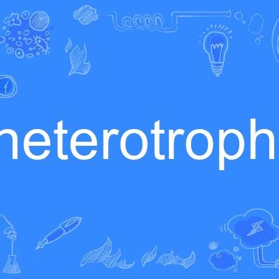 heterotrophy_百度百科