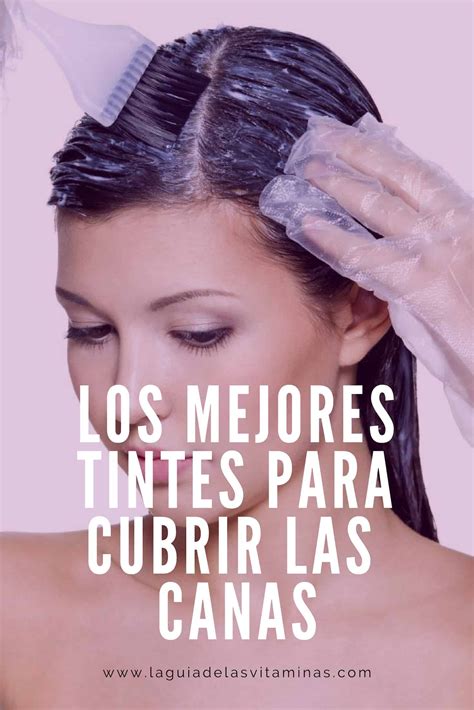 Tintes De Cabello Buenos FormatoAPA Reglas Y Normas APA