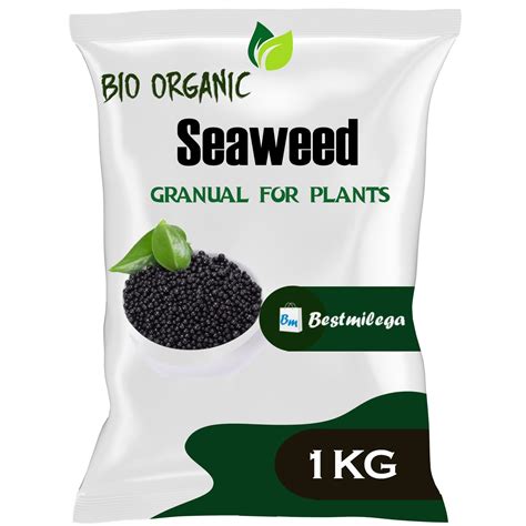 BEST MILEGA Seaweed Fertilizer For Plant Seaweed Granules For Plants