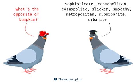 8 Bumpkin Antonyms. Full list of opposite words of bumpkin.