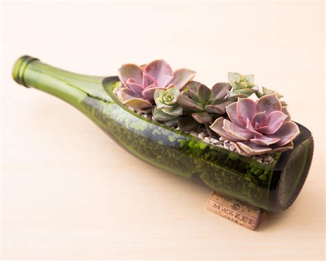 DIY Wine Bottle Planter for Succulents | Succulents and Sunshine