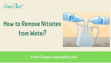 How To Remove Nitrates From Water An Exhaustive Guide