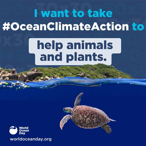 #OceanClimateAction - Animals - World Ocean Day