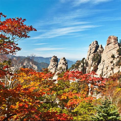 Autumn in Korea, the Best Season! Plan Your Trip for Autumn