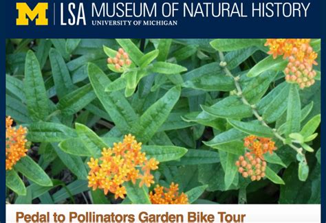 FREE IS MY LIFE: FREE Pedal to Pollinators Garden Bike Tour 8/20 1-4pm ...