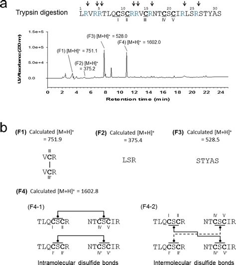 A Trypsin Digestion And LC MS Analysis Of Refolded Rattusin R RTSN