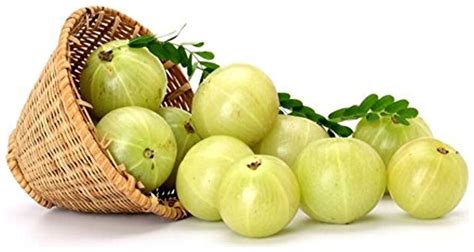 Buy Fruit Seeds Medicinal Plant Indian Gooseberry Aonla Amla Nelli