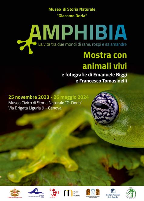 Pikaia A Genova La Mostra AMPHIBIA La Vita Tra Due Mondi Di Rane