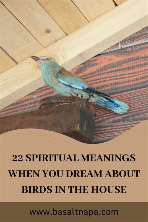 22 Spiritual Meanings When You Dream About Birds In The House