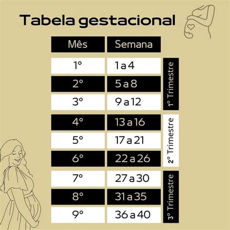 Tabela Gestacional Dicas De Fotos Meses De Gravidez Tempo De Gestação