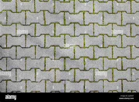 Texture Map Special Shaped Interlocking Pavers And Grass Between The