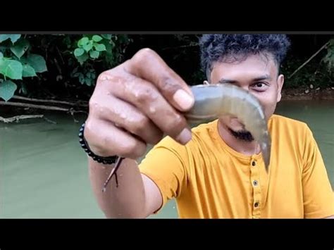 Pasang Bubu Payung Di Arus Deras Dapat Banyak Udang Youtube