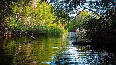 Morrocoy National Park: Comprehensive Guide for the Adventurous Traveler