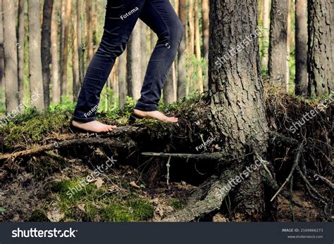 Barefoot Woman Walking On Tree Roots Stock Photo 2169866273 | Shutterstock