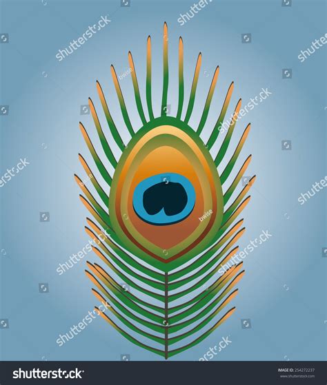 Peacock Feather Stock Vector Royalty Free 254272237 Shutterstock