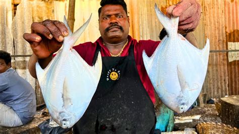 KASIMEDU SPEED SELVAM WHITE POMFRET FISH CUTTING VIDEO IN